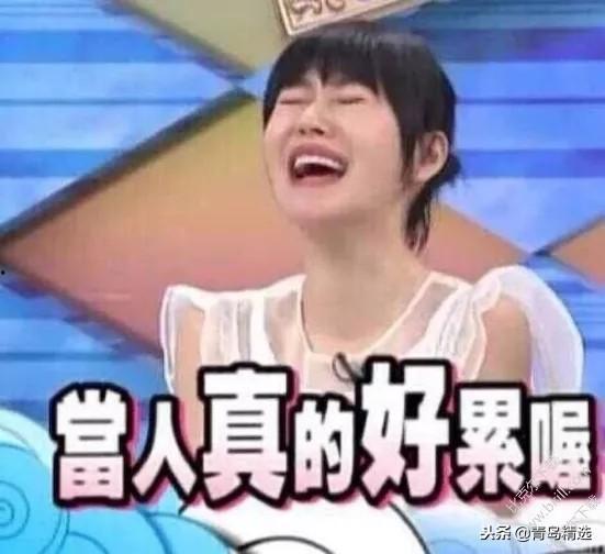 为了吃瓜进入娱乐圈,一场意外的娱乐圈之旅