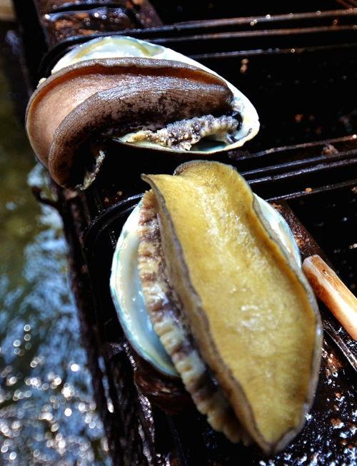 日本大网鲍,探寻日本大网鲍的珍馐美味与悠久文化