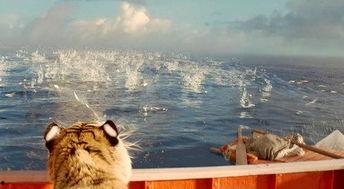 少年派漂流免费观看,免费观看，一场惊心动魄的海洋求生之旅