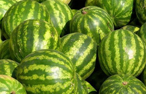 亲爱的味道免费观看西瓜,西瓜带你品味甜蜜人生